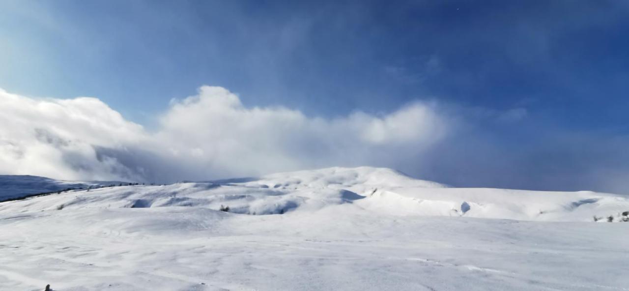 Mlodge - The Mountain Lodge ソンダル エクステリア 写真